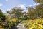 32 Charles Heaphy lane, St Johns, Auckland - Carousel 23