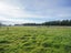 329 Wallacetown Lorneville Highway, Makarewa, Invercargill - Carousel 44