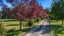 305 Loburn Terrace Road, Loburn, Rangiora - Carousel 12