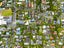 39B Waiatarua Road, Remuera, Auckland - Carousel 5