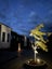 1/37 North Ridge Drive, Rototuna North, Hamilton - Carousel 18