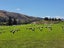 115 Gilmour Road, Roxburgh East, Roxburgh - Carousel 3