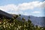 54 Red Cottage Drive, Lake Hayes, Queenstown - Carousel 23