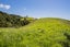 0 Hailes Road, Whananaki, Hikurangi - Carousel 5