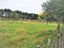0 Newton St, Ormondville - Carousel 22
