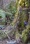 7 Mead Lane, Horopito, Raetihi - Carousel 24