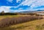 4023 Northbank Road, Blenheim - Carousel 31