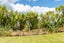 91 Whaka Street, Maungaturoto, Maungaturoto - Carousel 23