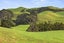 214C Maioro Road, Otaua, Waiuku - Carousel 24
