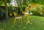 71 Kulim Avenue, Otumoetai, Tauranga - Carousel 19