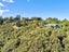 629B OWHIWA RD, OWHIWA, WHANGAREI - Carousel 25