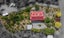14 Lanes Road, Bridge Hill, Alexandra - Carousel 38