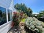 78 Margot Street, Epsom, Auckland - Carousel 17