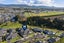 17 Layla Place, Katikati, Katikati - Carousel 21