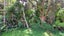 105 Tudehope Road, Kamo - Carousel 27