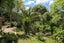 1010A Great North Road, Point Chevalier, Auckland - Carousel 10