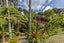 1 Kaurimu Rise, Titirangi, Auckland - Carousel 26