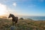 378 Heyward Point Road, Heyward Point, Port Chalmers - Carousel 3