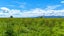54 Arawa Street, Pipiroa, Ngatea - Carousel 24