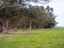 0 Kahutara Rd - Carousel 6