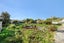 13 Kawakawa Street, Whanganui East, Whanganui, Manawatu / Whanganui - Carousel 21