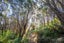 54B Harambee Road, Taiharuru, Parua Bay - Carousel 30