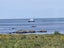 41 South Bay Parade, South Bay, Kaikoura - Carousel 19