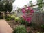 41A Howard Hunter Avenue, Saint Johns, Auckland - Carousel 1