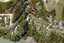498 Wyuna Bay Road, Wyuna Bay, Coromandel - Carousel 6