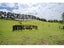 397D Pungaere Road, Kerikeri, Far North, Northland - Carousel 24