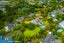 17 Manon Crescent, Greenhithe, Auckland - Carousel 27