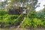 122 Mangakahia Drive, Whangapoua, Coromandel - Carousel 18