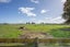 2634 Broadlands Road, Reporoa - Carousel 15