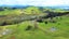 1344 State Highway 12, Oue, Kaikohe - Carousel 28