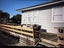 22 Holmes Street, Nawton, Hamilton - Carousel 10