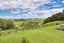 1190A Wharehine Road, Port Albert, Wellsford - Carousel 30