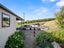 734 Mangaorongo Road, Otorohanga, Otorohanga - Carousel 6