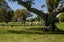 120 Vale Street, Otumoetai, Tauranga - Carousel 17