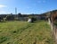 7 Main Street, Reefton, Reefton - Carousel 2
