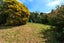 25 City Road, Roslyn, Dunedin - Carousel 14