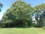 3 Watson Street, Westport, Westport - Carousel 16