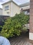 9 Roy Street, Newtown, Wellington - Carousel 26