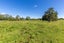 1944 Te Rahu Road, Te Awamutu, Te Awamutu - Carousel 9