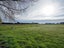 329 Wallacetown Lorneville Highway, Makarewa, Invercargill - Carousel 40