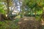 27 Union Street, Hokowhitu, Palmerston North - Carousel 21