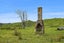 0 Brindle Road, Whirinaki, Whirinaki - Carousel 12