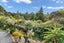 18 Clapham Road, Whangarei - Carousel 26