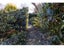 24 Woodbury Road, Orari Bridge, Geraldine - Carousel 23