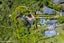 34 Grendon Road, Titirangi, Auckland - Carousel 5