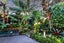 8 Fern Avenue, Epsom, Auckland - Carousel 24